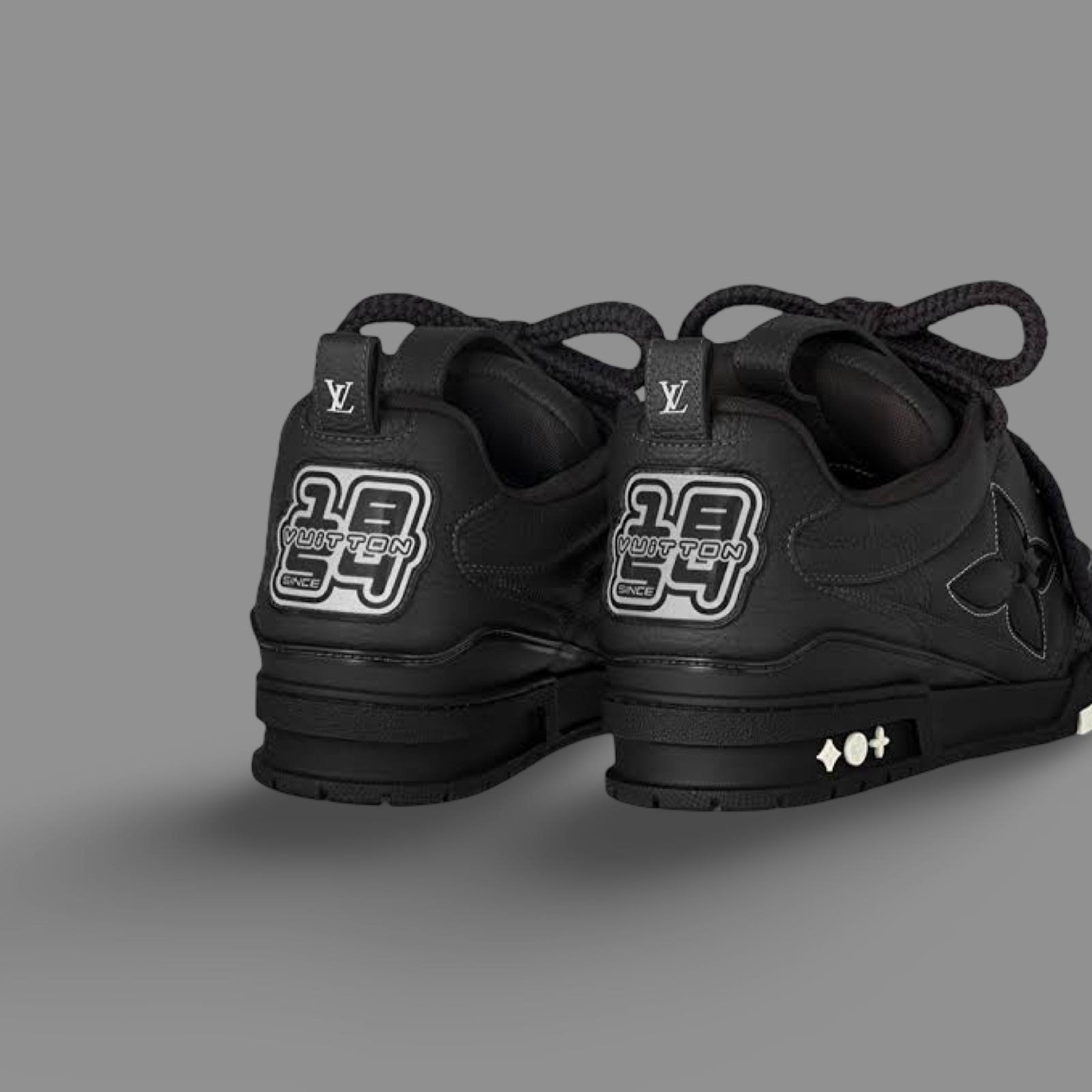 Louis vuitton skate 2